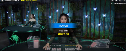 SPEED BACCARAT3.jpg