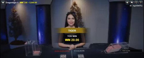 tiger wins.jpg