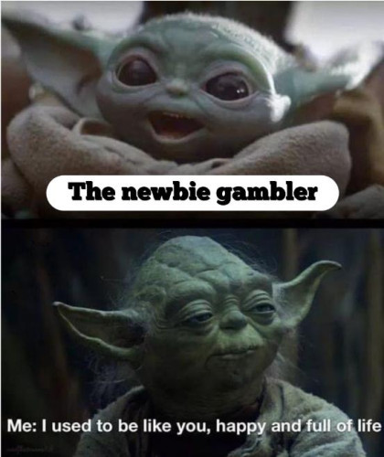 m1.jpg