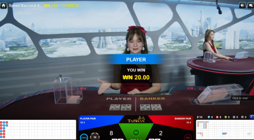 speed4player.JPG